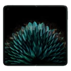 Oppo Find N2 View 2 - Camera, Display & Design