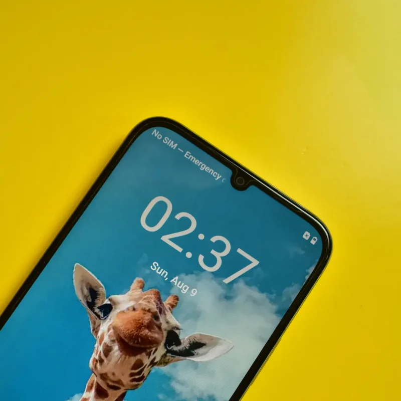 Realme C100x View 58 - Camera, Display & Design
