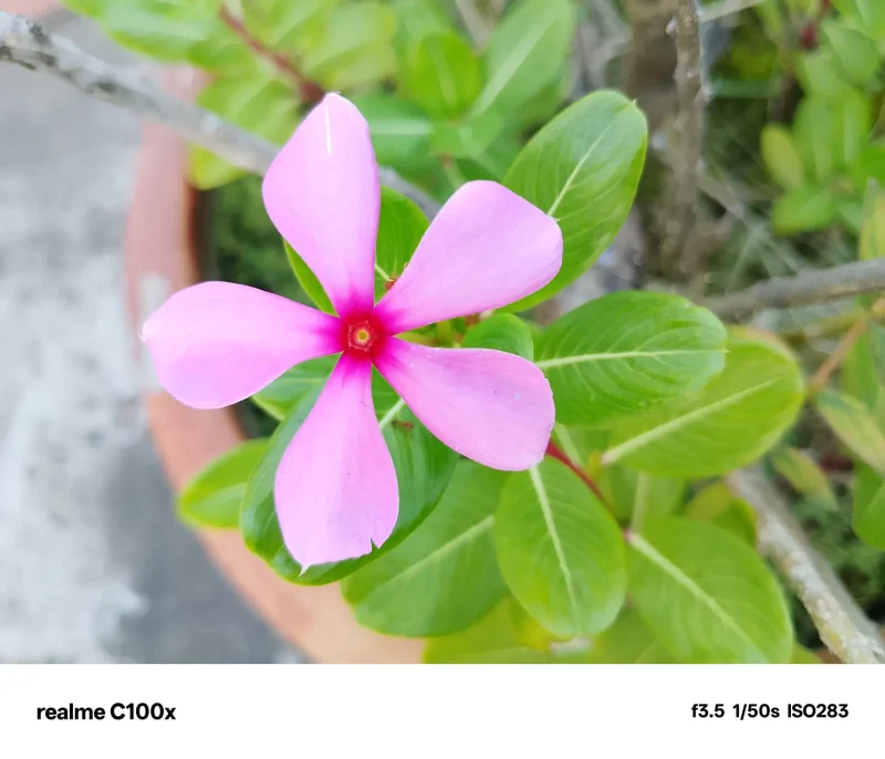 Realme C100x View 67 - Camera, Display & Design