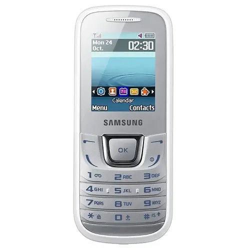 Samsung Guru Music E1282 View 2 - Camera, Display & Design