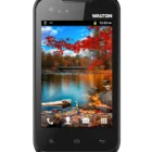 Walton Primo D1 View 1 - Camera, Display & Design