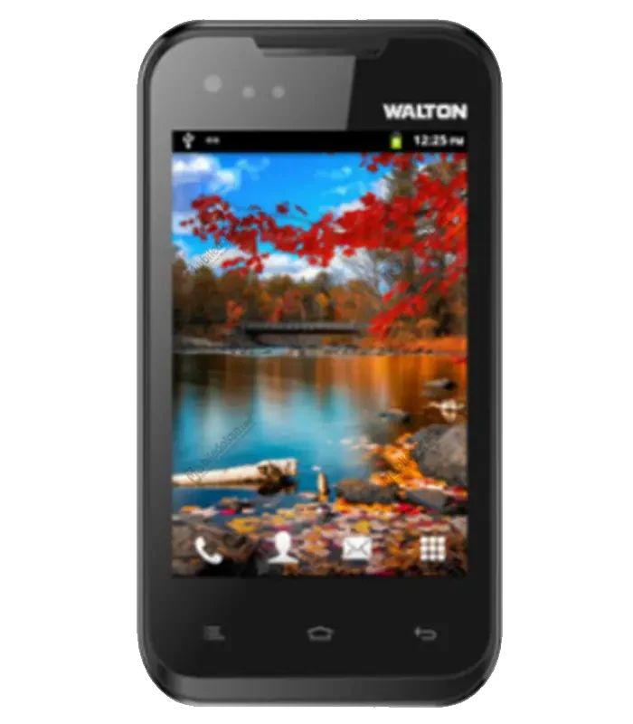 Walton Primo D1 View 1 - Camera, Display & Design
