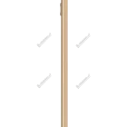 Walton Primo NF2 View 5 - Camera, Display & Design